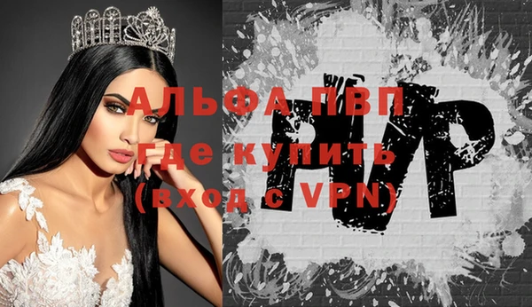 прущие грибы Новозыбков