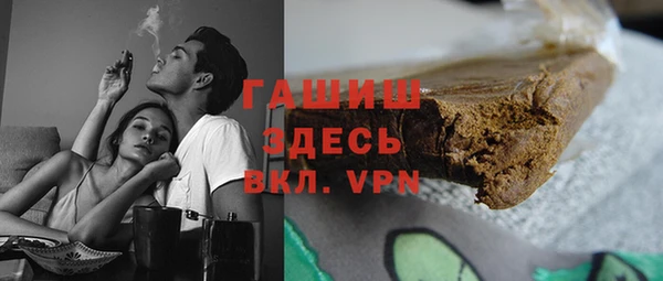 прущие грибы Новозыбков