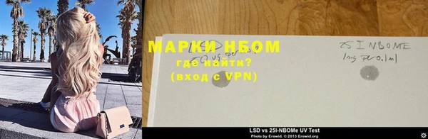 прущие грибы Новозыбков