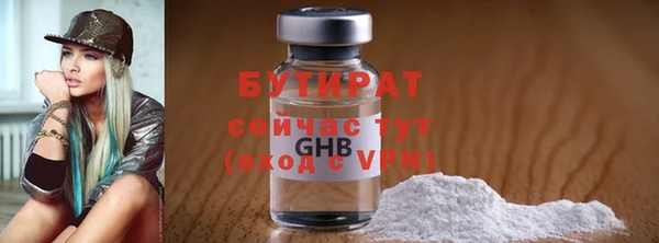 прущие грибы Новозыбков