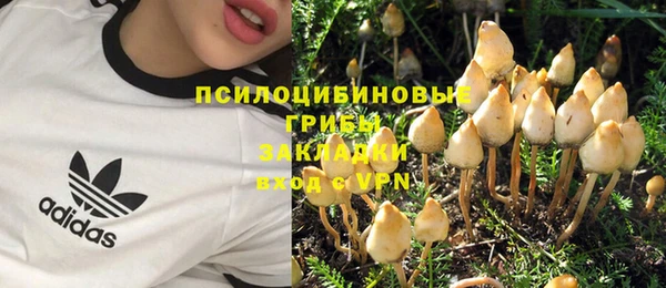 амф Нязепетровск