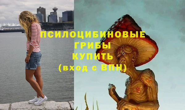 гашишное масло Няндома