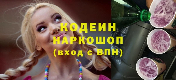 прущие грибы Новозыбков
