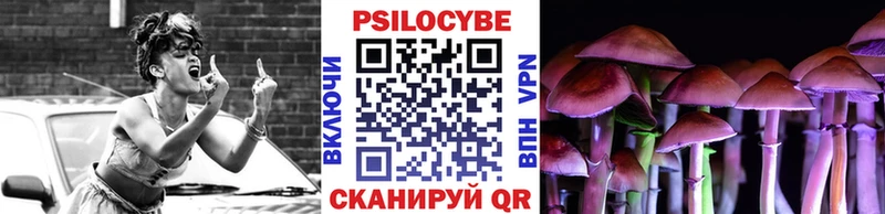 OMG как зайти Кашира Галлюциногенные грибы ЛСД