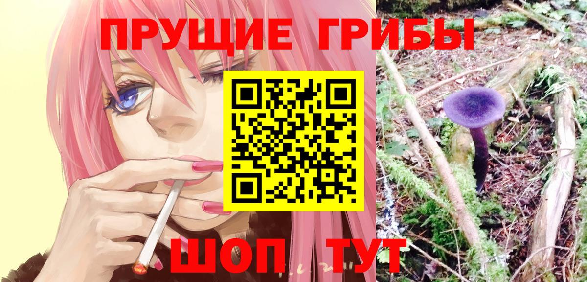 Кашира  Псилоцибиновые грибы GOLDEN TEACHER  Вход с VPN  Галлюциногенные грибы Psilocybe 
