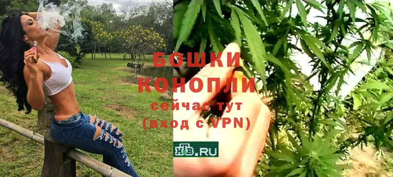 Каннабис SATIVA & INDICA  Кашира 