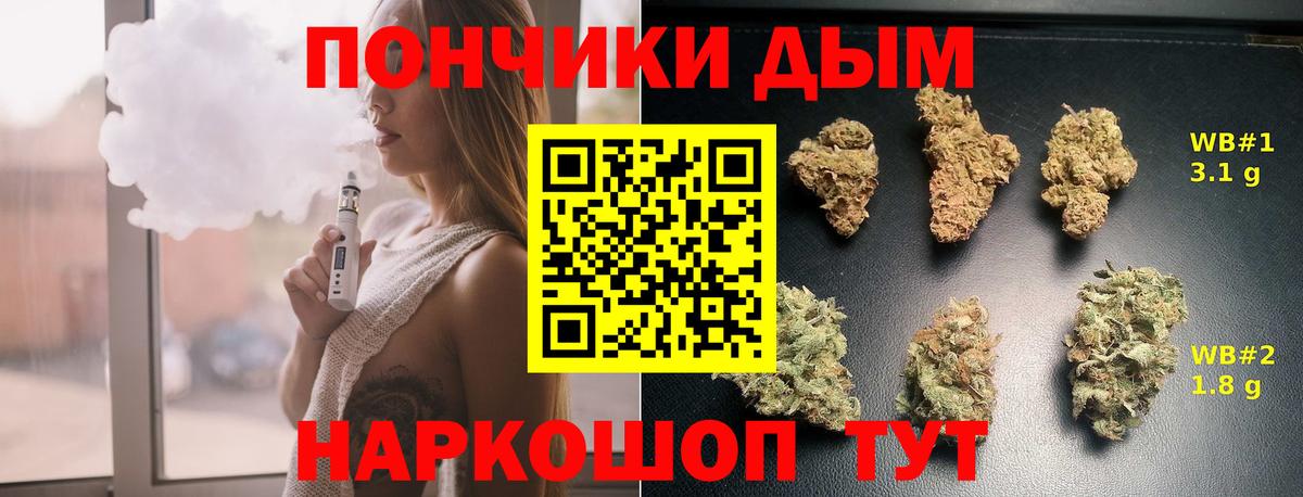 Каннабис планчик  Бошки марихуана гибрид  Вход с VPN  Конопля AK-47  Кашира 